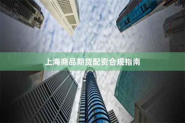 上海商品期货配资合规指南